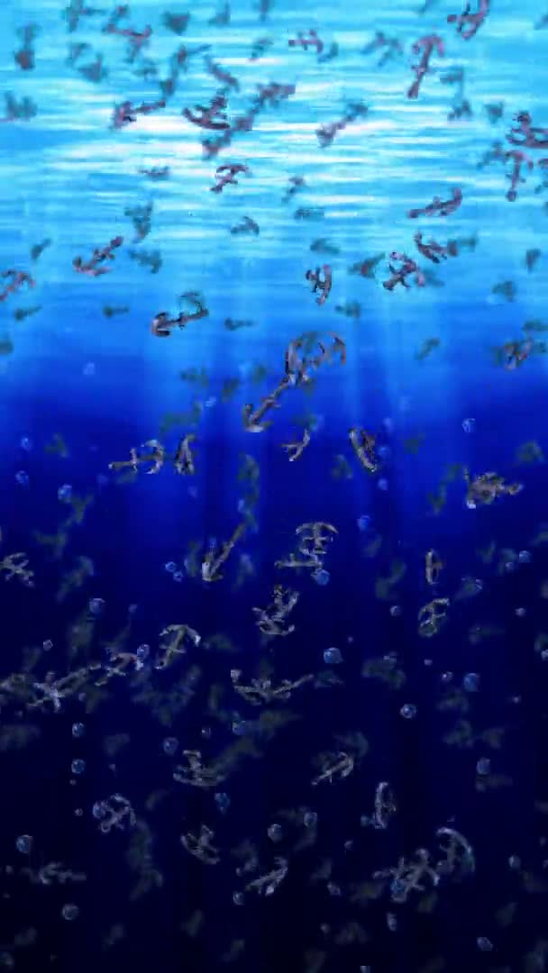 在蓝水中飞行了许多锚 船和船锚 海洋图标 锚旋转的三维环路动画 — 图库视频影像