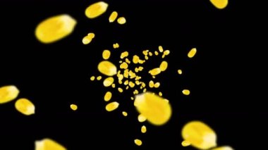 Siyah arka planda bir sürü mısır tanesiyle uçuyor. Sarı mısır tohumları. Vejetaryen. Sağlıklı yiyecekler. Dönen mısırın 3 boyutlu döngü animasyonu.