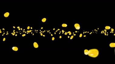 Siyah arka planda bir sürü mısır tanesiyle uçuyor. Sarı mısır tohumları. Vejetaryen. Sağlıklı yiyecekler. Dönen mısırın 3 boyutlu döngü animasyonu.