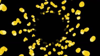 Siyah arka planda bir sürü mısır tanesiyle uçuyor. Sarı mısır tohumları. Vejetaryen. Sağlıklı yiyecekler. Dönen mısırın 3 boyutlu döngü animasyonu.