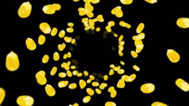 Siyah arka planda bir sürü mısır tanesiyle uçuyor. Sarı mısır tohumları. Vejetaryen. Sağlıklı yiyecekler. Dönen mısırın 3 boyutlu döngü animasyonu.