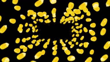Siyah arka planda bir sürü mısır tanesiyle uçuyor. Sarı mısır tohumları. Vejetaryen. Sağlıklı yiyecekler. Dönen mısırın 3 boyutlu döngü animasyonu.