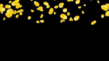 Siyah arka planda bir sürü mısır tanesiyle uçuyor. Sarı mısır tohumları. Vejetaryen. Sağlıklı yiyecekler. Dönen mısırın 3 boyutlu döngü animasyonu.