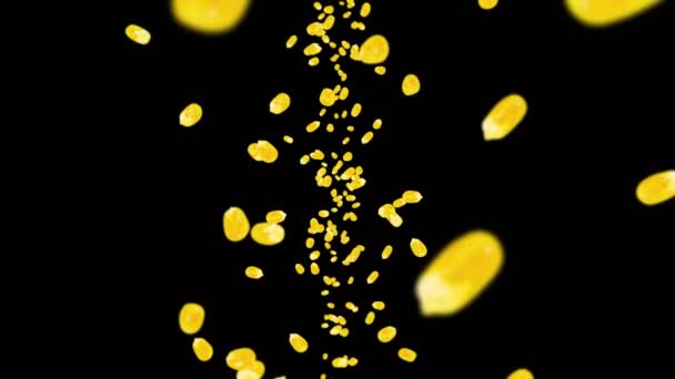 在黑色背景上飞行许多玉米粒 黄色甜玉米种子 素食主义者健康食品 玉米轮作3D循环动画 — 图库视频影像