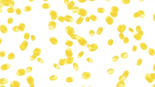 Много Зерна Кукурузы Белом Фоне Желтые Сладкие Кукурузные Семечки Вегетарианка — стоковое видео