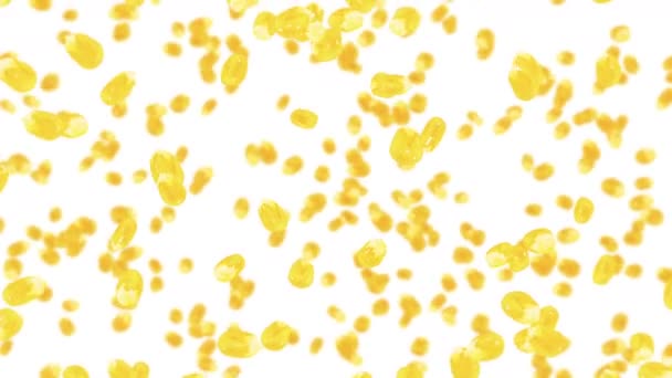 在白色背景上飞行许多玉米粒 黄色甜玉米种子 素食主义者健康食品 玉米轮作3D循环动画 — 图库视频影像
