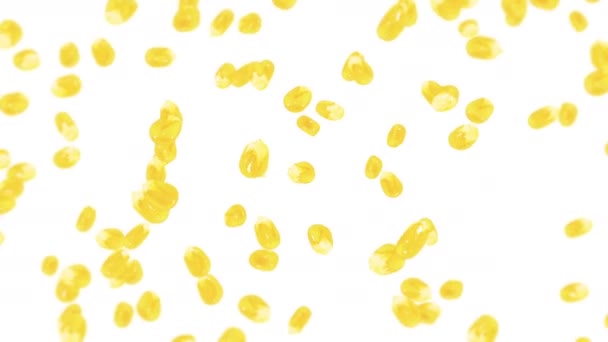 Volando Muchos Granos Maíz Sobre Fondo Blanco Semillas Amarillas Maíz — Vídeos de Stock