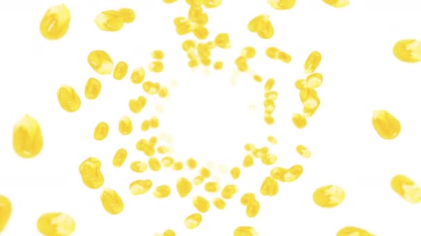 Volando Muchos Granos Maíz Sobre Fondo Blanco Semillas Amarillas Maíz — Vídeo de stock