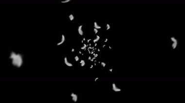 Siyah arka planda beyaz tüyler uçuşuyor. Havada süzülen güzel tüy. Mutluluk kavramı. Tüylerin 3 boyutlu döngü animasyonu.