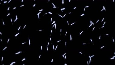 Siyah arka planda enjeksiyon için bir sürü şırınga uçuruyorum. Tıbbi konsept. Virüse karşı aşı. Sağlık terapisi. 3B döngü canlandırması.