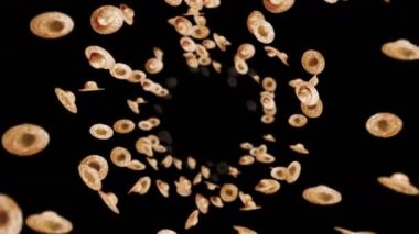 Siyah arka planda bir sürü hasır şapka uçurmak. El yapımı şapkalar. Yaz kavramı. Dönen el yapımı hasır şapkaların 3 boyutlu döngü animasyonu.