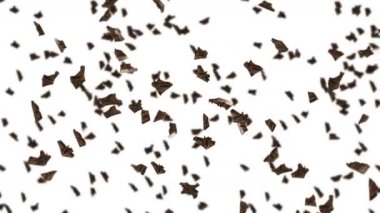 Siyah arka planda bir sürü çikolata parçası uçurmak. Yiyecek ve tatlılar. Süt ve koyu. Çikolata dönüşümlü 3 boyutlu döngü animasyonu.