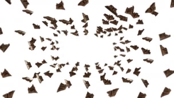 Много Шоколадных Кусочков Черном Фоне Продукты Сладости Молоко Тьма Анимация — стоковое видео
