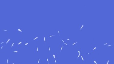 Mavi arka planda enjeksiyon için bir sürü şırınga uçuruluyor. Tıbbi konsept. Virüse karşı aşı. Sağlık terapisi. 3B döngü canlandırması.