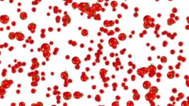 Beyaz arka planda bir sürü taze domates uçuruyor. Organik sebzeler. Olgun sulu vişneli domatesler. Domates dönüşünün 3 boyutlu döngü animasyonu.