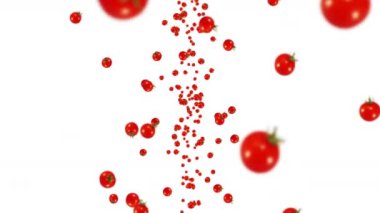 Beyaz arka planda bir sürü taze domates uçuruyor. Organik sebzeler. Olgun sulu vişneli domatesler. Domates dönüşünün 3 boyutlu döngü animasyonu.