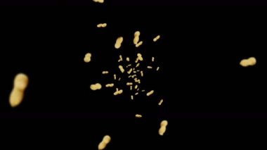 Siyah arka planda bir sürü fıstık uçurmak. Çiğ fıstık. Kabuklu yerfıstığı. Sağlıklı organik yiyecekler. Tohum dönüşünün 3 boyutlu döngü canlandırması.