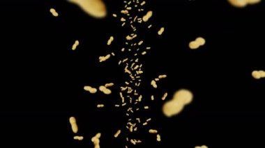 Siyah arka planda bir sürü fıstık uçurmak. Çiğ fıstık. Kabuklu yerfıstığı. Sağlıklı organik yiyecekler. Tohum dönüşünün 3 boyutlu döngü canlandırması.