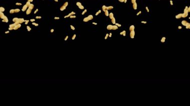 Siyah arka planda bir sürü fıstık uçurmak. Çiğ fıstık. Kabuklu yerfıstığı. Sağlıklı organik yiyecekler. Tohum dönüşünün 3 boyutlu döngü canlandırması.