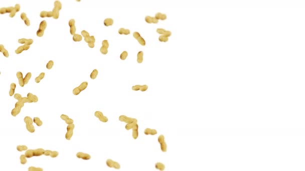 Voler Beaucoup Arachides Sur Fond Blanc Des Cacahuètes Crues Arachides — Video