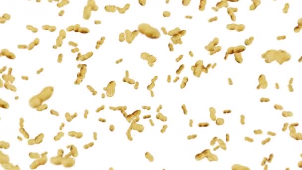 Volando Muchos Cacahuetes Sobre Fondo Blanco Cacahuetes Crudos Cacahuetes Con — Vídeo de stock