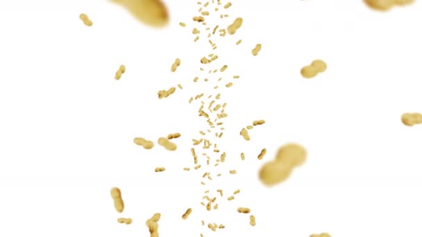 在白色的背景上飞着许多花生 生的花生 炮弹里的坚果 健康有机食品 种子旋转的3D循环动画 — 图库视频影像
