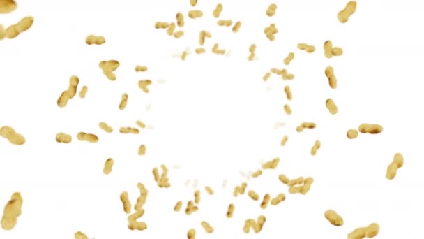 Voando Muitos Amendoins Fundo Branco Amendoins Crus Nozes Amendoim Conchas — Vídeo de Stock