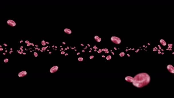 黒の背景に多くの赤血球を飛んでいます 医学的概念 ヒト赤血球の流れ 細胞回転の3Dループアニメーション — ストック動画