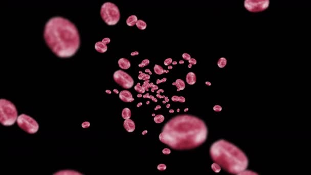 Voando Muitos Glóbulos Vermelhos Fundo Preto Conceito Médico Fluxo Eritrócitos — Vídeo de Stock