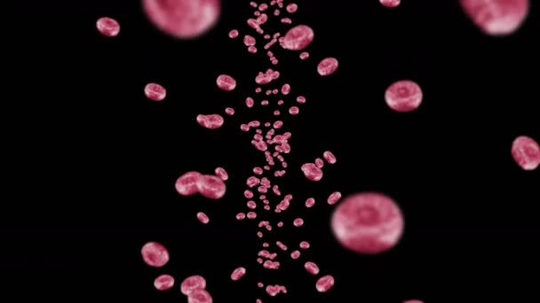 Flying Multe Celule Roșii Din Sânge Fundal Negru Conceptul Medical — Videoclip de stoc