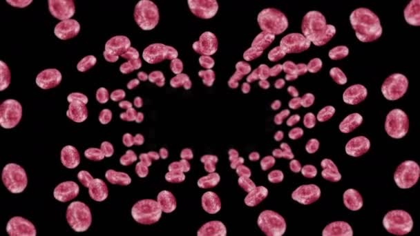 在黑色背景上飞行许多红血球 医学概念 人类红血球的流 细胞旋转的3D循环动画 — 图库视频影像
