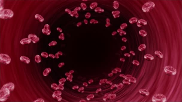 Ανθρώπινο Αιμοφόρο Αγγείο Πολλά Ερυθρά Αιμοσφαίρια Ιατρική Έννοια Ροή Ανθρώπινων — Αρχείο Βίντεο