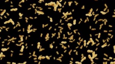 Siyah arka planda bir sürü fıstık uçurmak. Çiğ fıstık. Kabuklu yerfıstığı. Sağlıklı organik yiyecekler. Tohum dönüşünün 3 boyutlu döngü canlandırması.