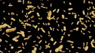 Siyah arka planda bir sürü fıstık uçurmak. Çiğ fıstık. Kabuklu yerfıstığı. Sağlıklı organik yiyecekler. Tohum dönüşünün 3 boyutlu döngü canlandırması.