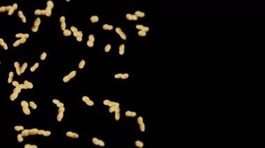 Siyah arka planda bir sürü fıstık uçurmak. Çiğ fıstık. Kabuklu yerfıstığı. Sağlıklı organik yiyecekler. Tohum dönüşünün 3 boyutlu döngü canlandırması.