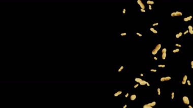 Siyah arka planda bir sürü fıstık uçurmak. Çiğ fıstık. Kabuklu yerfıstığı. Sağlıklı organik yiyecekler. Tohum dönüşünün 3 boyutlu döngü canlandırması.