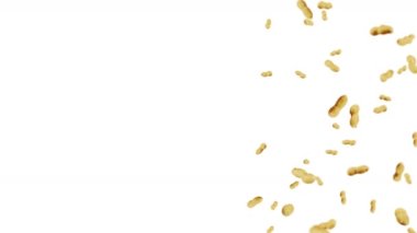 Beyaz arka planda bir sürü fıstık uçuruyor. Çiğ fıstık. Kabuklu yerfıstığı. Sağlıklı organik yiyecekler. Tohum dönüşünün 3 boyutlu döngü canlandırması.