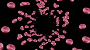 Siyah arka planda bir sürü kırmızı kan hücresi uçuyor. Tıbbi konsept. İnsan eritrositlerinin akışı. Hücre dönüşünün 3 boyutlu döngü canlandırması.