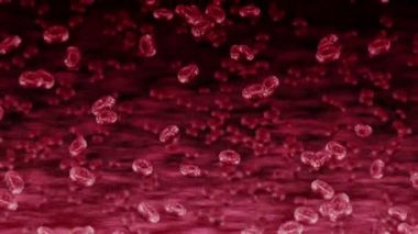 Bir sürü kırmızı kan hücresi olan insan damarı. Tıbbi konsept. İnsan eritrositlerinin akışı. Hücre dönüşünün 3 boyutlu döngü canlandırması.