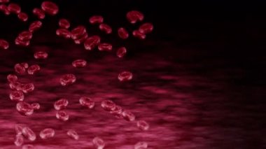 Bir sürü kırmızı kan hücresi olan insan damarı. Tıbbi konsept. İnsan eritrositlerinin akışı. Hücre dönüşünün 3 boyutlu döngü canlandırması.