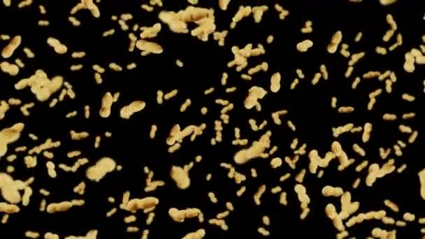 Летает Много Арахиса Черном Фоне Сырые Орешки Арахис Ракушках Здоровые — стоковое видео