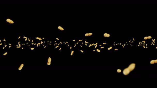 Létání Mnoho Arašídů Černém Pozadí Syrové Buráky Podzemnice Lasturách Zdravé — Stock video