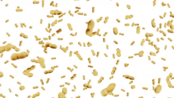 배경으로 땅콩을 날리는 땅콩날린다 유기농 회전하는 애니메이션 — 비디오
