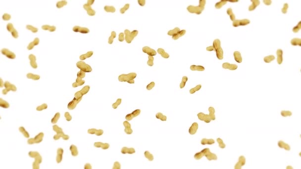Fliegen Viele Erdnüsse Auf Weißem Hintergrund Rohe Erdnüsse Erdnüsse Schalen — Stockvideo
