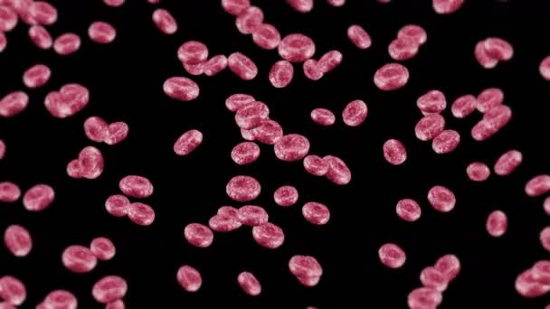 黒の背景に多くの赤血球を飛んでいます 医学的概念 ヒト赤血球の流れ 細胞回転の3Dループアニメーション — ストック動画