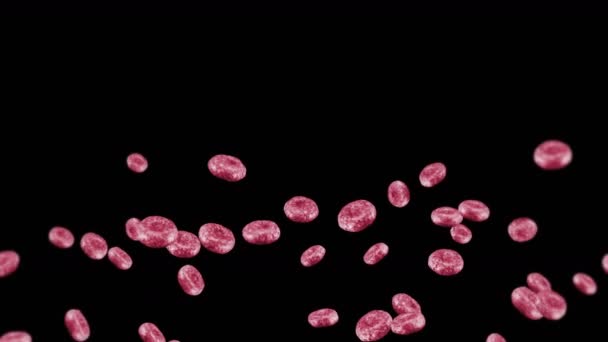 Voler Beaucoup Globules Rouges Sur Fond Noir Concept Médical Flux — Video