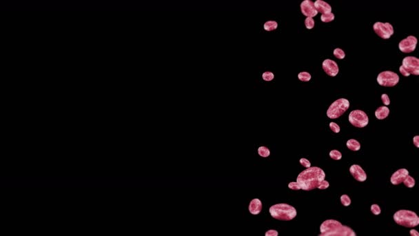 Voler Beaucoup Globules Rouges Sur Fond Noir Concept Médical Flux — Video