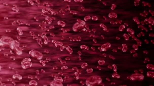 Vaisseau Sanguin Humain Avec Beaucoup Globules Rouges Concept Médical Flux — Video