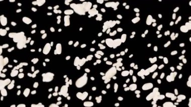 Siyah arka planda bir sürü pirinç uçurmak. Beyaz pirinç taneleri. Glutinous rice. Vejetaryen. Sağlıklı yiyecekler. Pirinç dönüşünün 3 boyutlu döngü animasyonu.