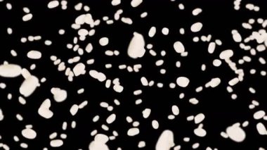 Siyah arka planda bir sürü pirinç uçurmak. Beyaz pirinç taneleri. Glutinous rice. Vejetaryen. Sağlıklı yiyecekler. Pirinç dönüşünün 3 boyutlu döngü animasyonu.